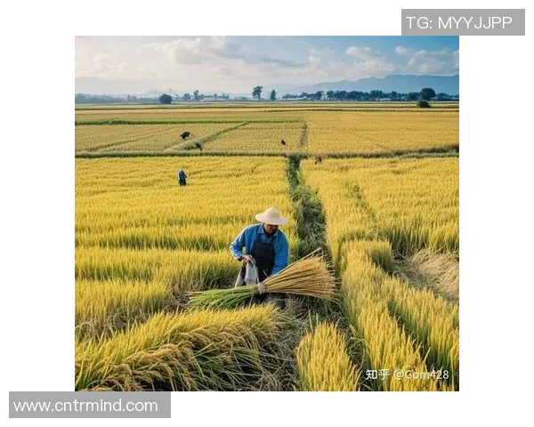 五谷丰登：探索五谷农作物的多样性与现代农业发展之路