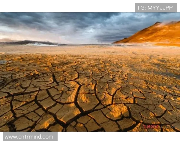 最新全球气候变化报告发布 气温升高趋势加剧 全球应对迫在眉睫